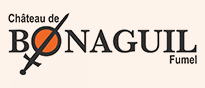 château de bonaguil (47)